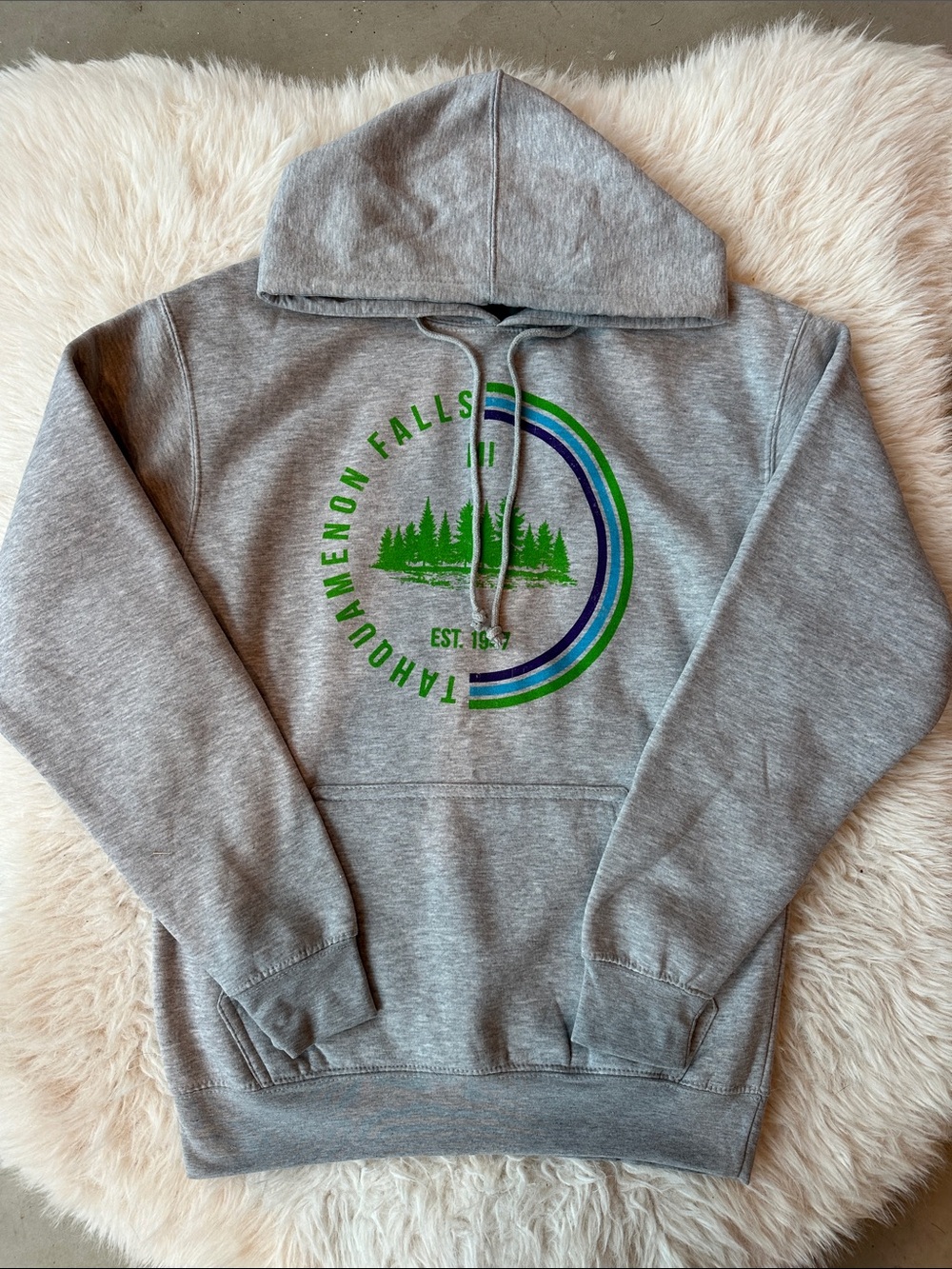 Gray Hoodie with Green & Blue Graphic